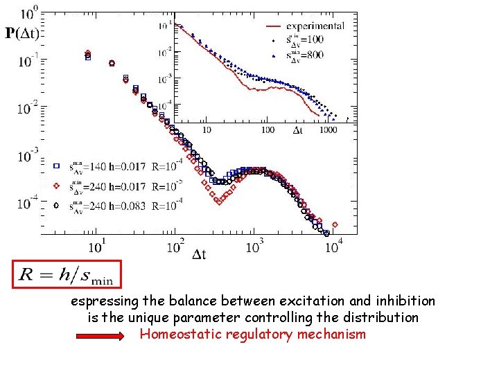 espressing the balance between excitation and inhibition is the unique parameter controlling the distribution