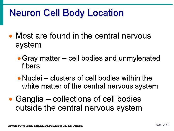 Neuron Cell Body Location · Most are found in the central nervous system ·