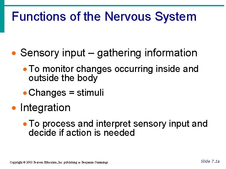 Functions of the Nervous System · Sensory input – gathering information · To monitor
