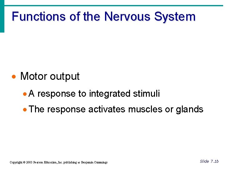 Functions of the Nervous System · Motor output · A response to integrated stimuli