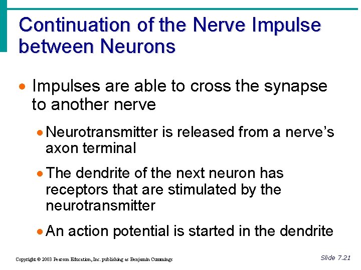 Continuation of the Nerve Impulse between Neurons · Impulses are able to cross the