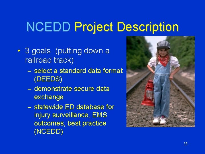 NCEDD Project Description • 3 goals (putting down a railroad track) – select a