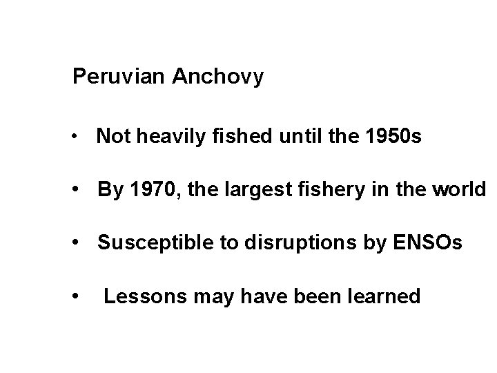 Peruvian Anchovy • Not heavily fished until the 1950 s • By 1970, the