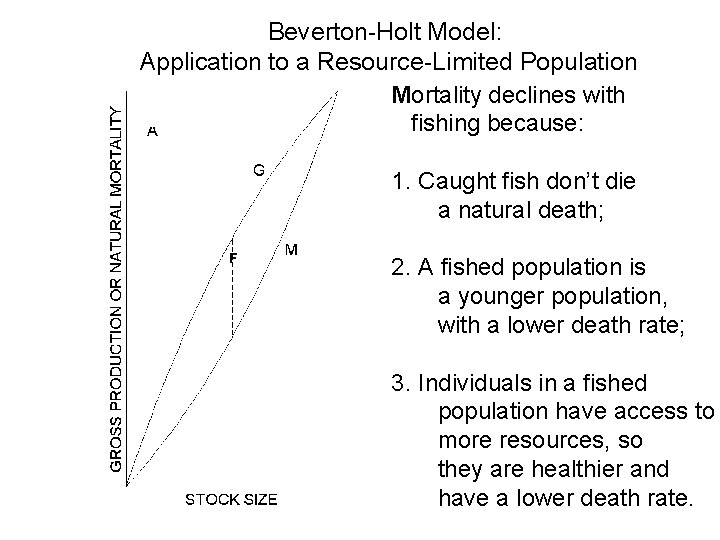 Beverton-Holt Model: Application to a Resource-Limited Population Mortality declines with fishing because: 1. Caught