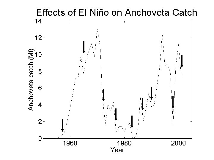 Effects of El Niño on Anchoveta Catch 