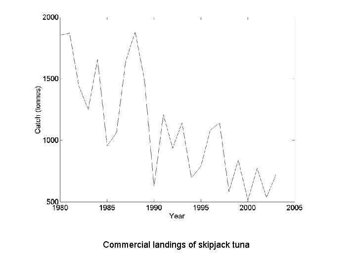 Commercial landings of skipjack tuna 
