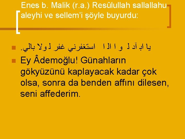 Enes b. Malik (r. a. ) Resûlullah sallallahu aleyhi ve sellem’i şöyle buyurdu: n