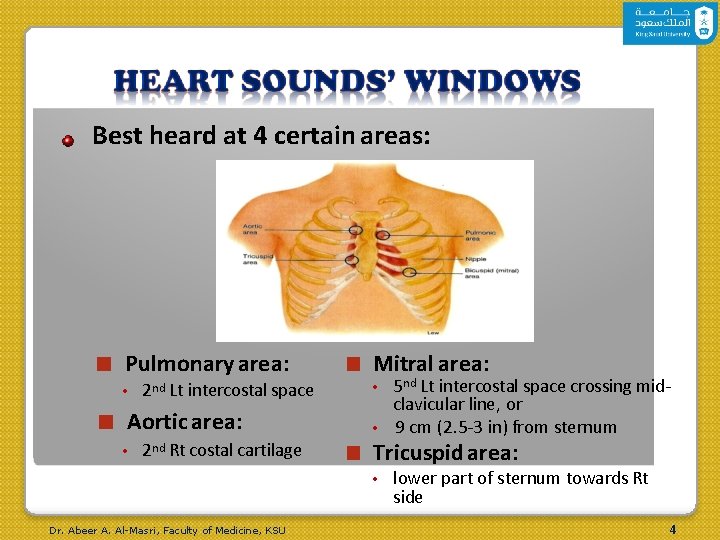 Best heard at 4 certain areas: ■ Pulmonary area: • ■ 5 nd Lt