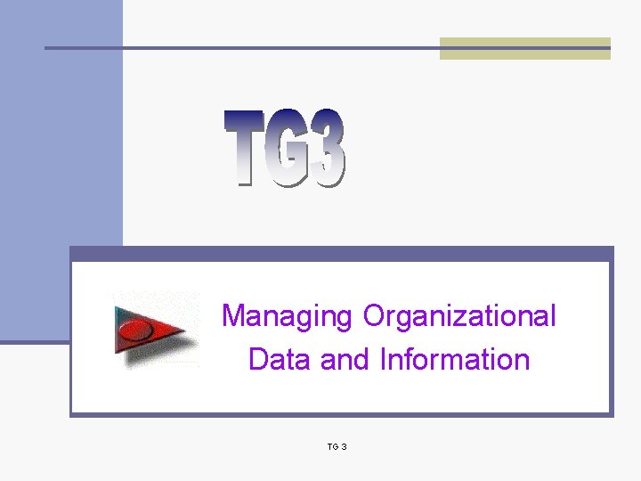 Managing Organizational Data and Information TG 3 