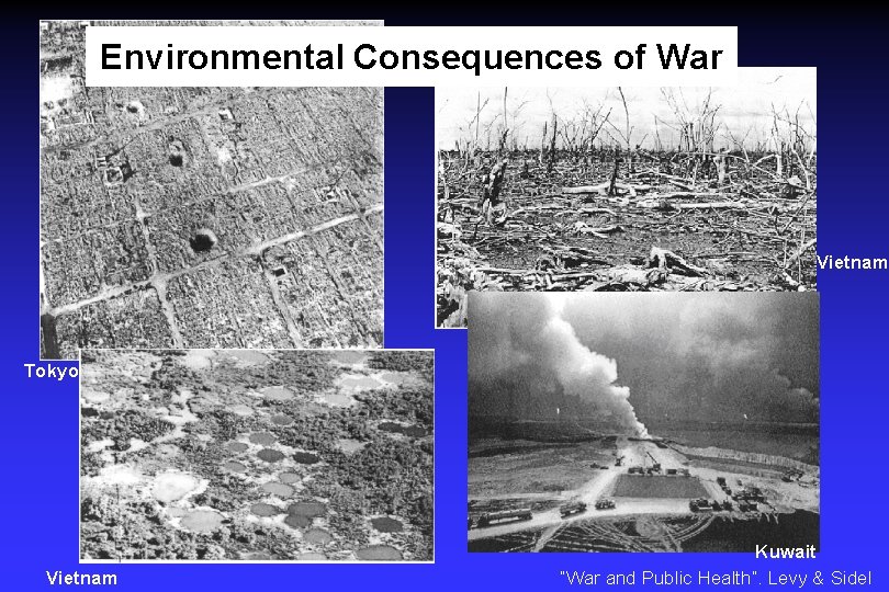 Environmental Consequences of War Vietnam Tokyo Vietnam Kuwait “War and Public Health”. Levy &