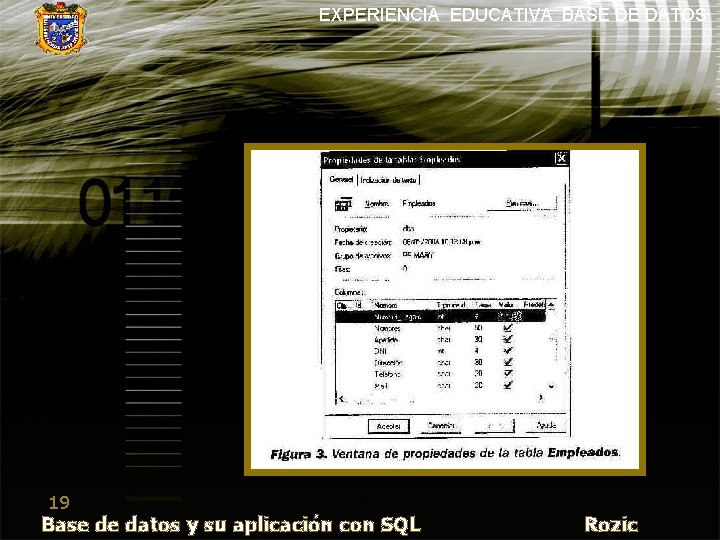 EXPERIENCIA EDUCATIVA BASE DE DATOS 19 Base de datos y su aplicación con SQL