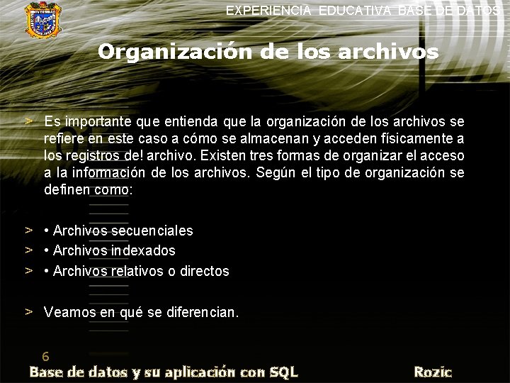 EXPERIENCIA EDUCATIVA BASE DE DATOS Organización de los archivos > Es importante que entienda