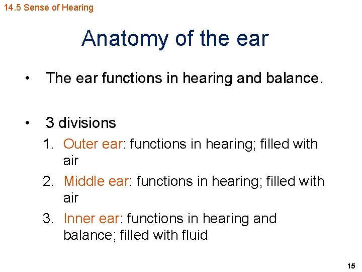 14. 5 Sense of Hearing Anatomy of the ear • The ear functions in