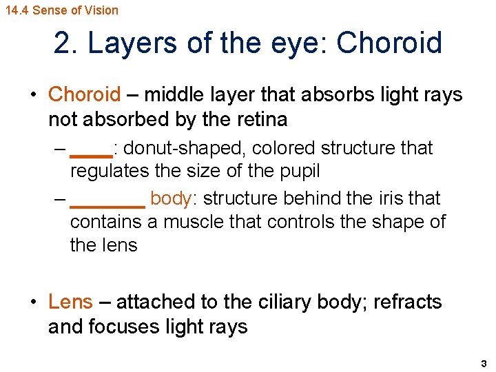 14. 4 Sense of Vision 2. Layers of the eye: Choroid • Choroid –