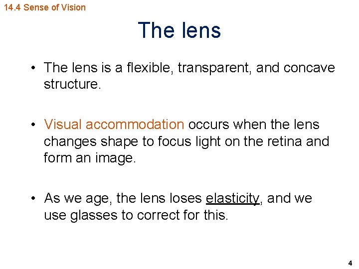 14. 4 Sense of Vision The lens • The lens is a flexible, transparent,