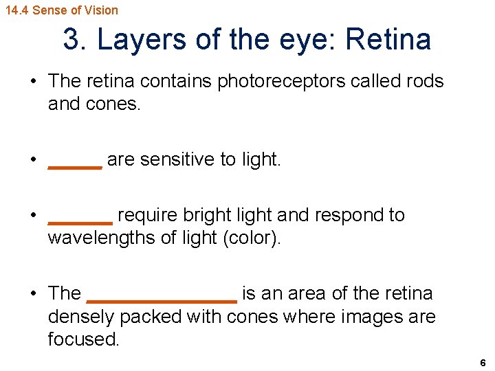 14. 4 Sense of Vision 3. Layers of the eye: Retina • The retina