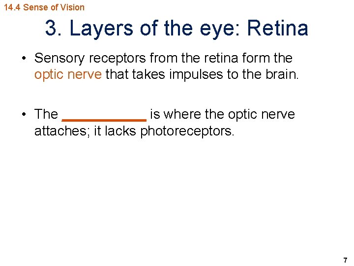 14. 4 Sense of Vision 3. Layers of the eye: Retina • Sensory receptors