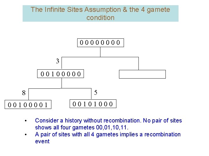 The Infinite Sites Assumption & the 4 gamete condition 0000 3 00100000 5 8