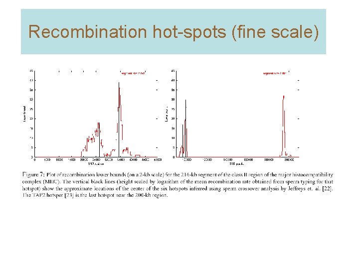 Recombination hot-spots (fine scale) 