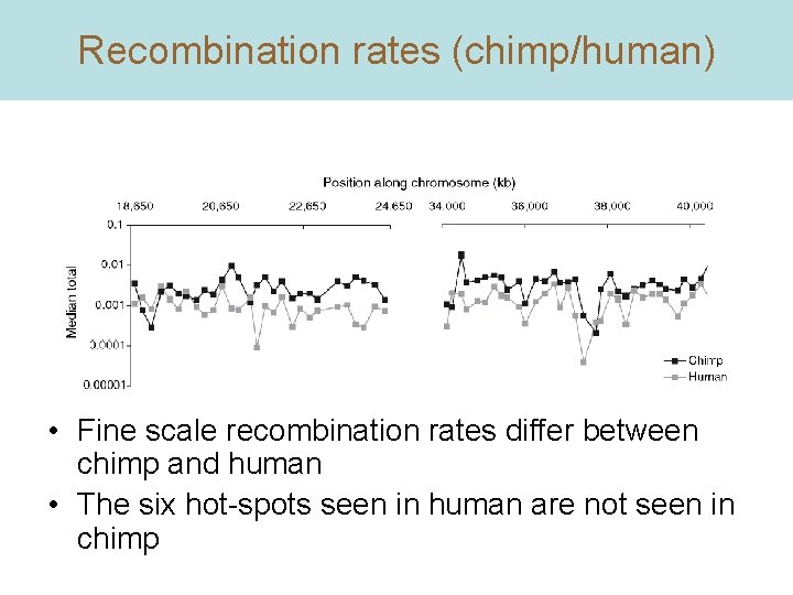 Recombination rates (chimp/human) • Fine scale recombination rates differ between chimp and human •