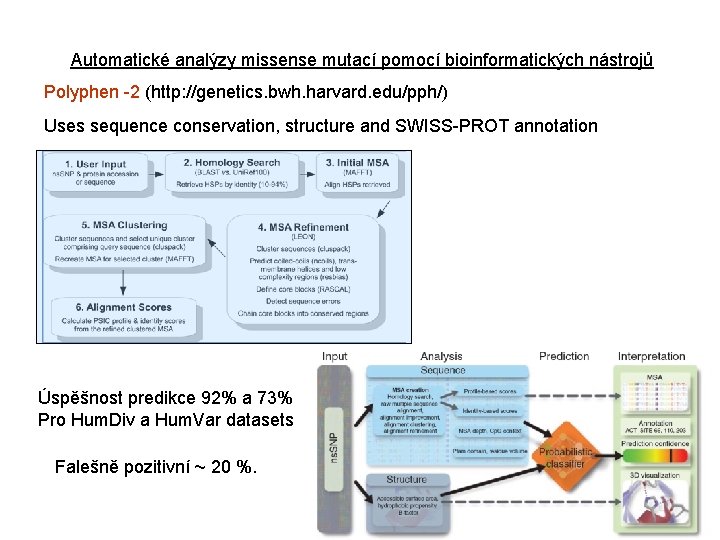 Automatické analýzy missense mutací pomocí bioinformatických nástrojů Polyphen -2 (http: //genetics. bwh. harvard. edu/pph/)