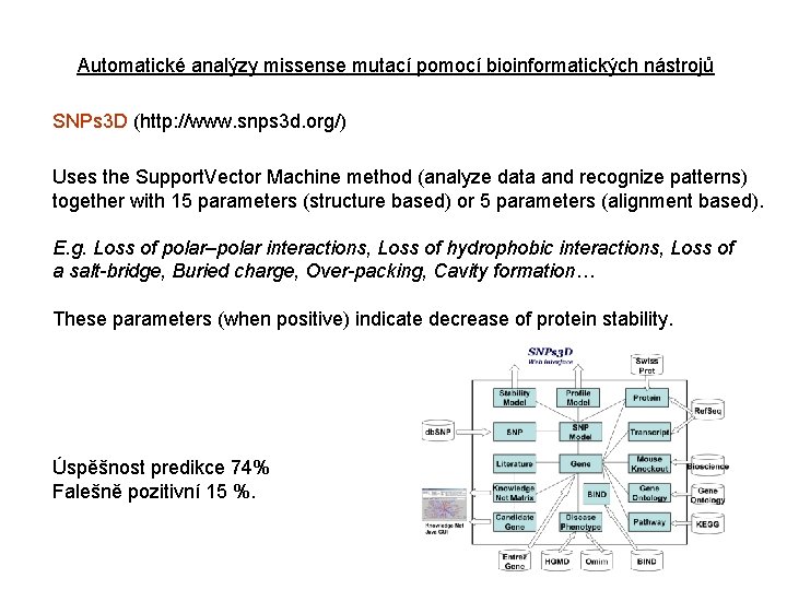 Automatické analýzy missense mutací pomocí bioinformatických nástrojů SNPs 3 D (http: //www. snps 3