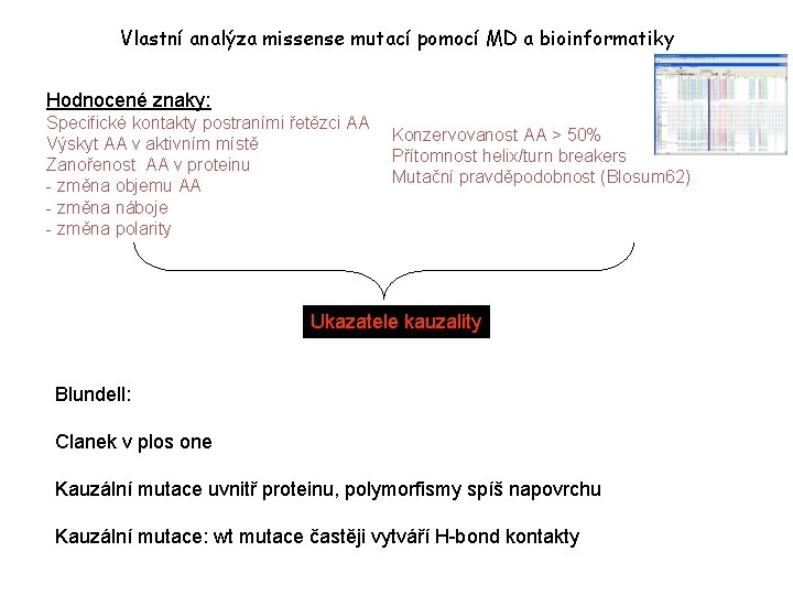 Vlastní analýza missense mutací pomocí MD a bioinformatiky Hodnocené znaky: Specifické kontakty postraními řetězci