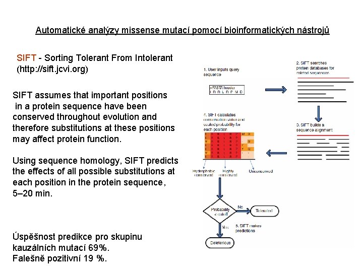 Automatické analýzy missense mutací pomocí bioinformatických nástrojů SIFT - Sorting Tolerant From Intolerant (http: