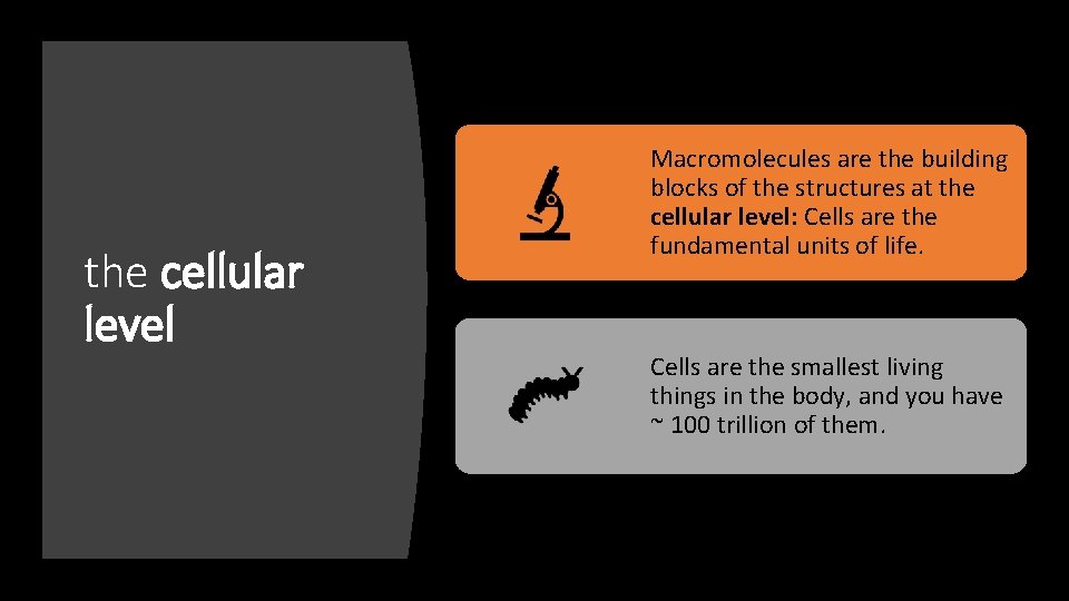 the cellular level Macromolecules are the building blocks of the structures at the cellular