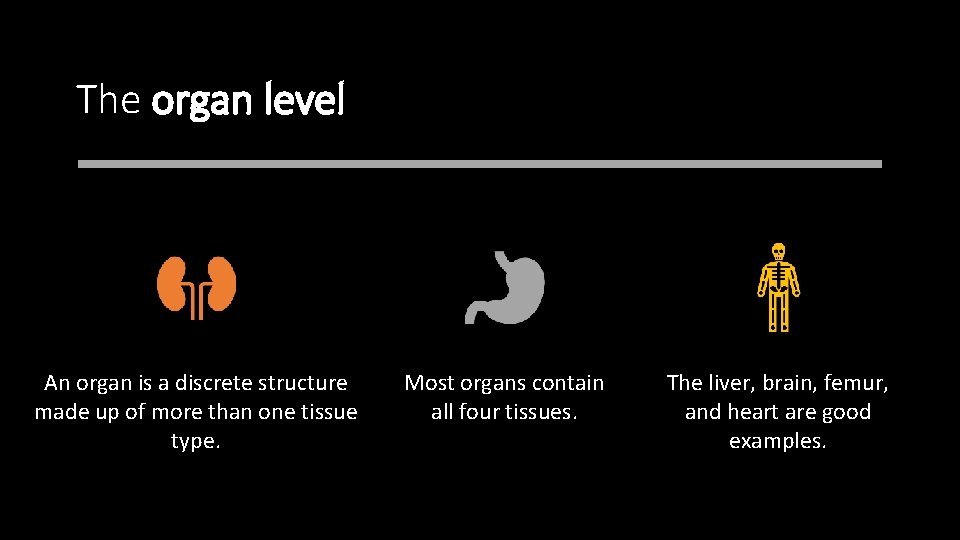 The organ level An organ is a discrete structure made up of more than