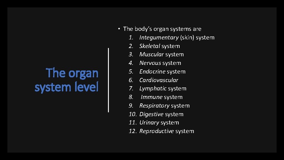 The organ system level • The body’s organ systems are 1. Integumentary (skin) system