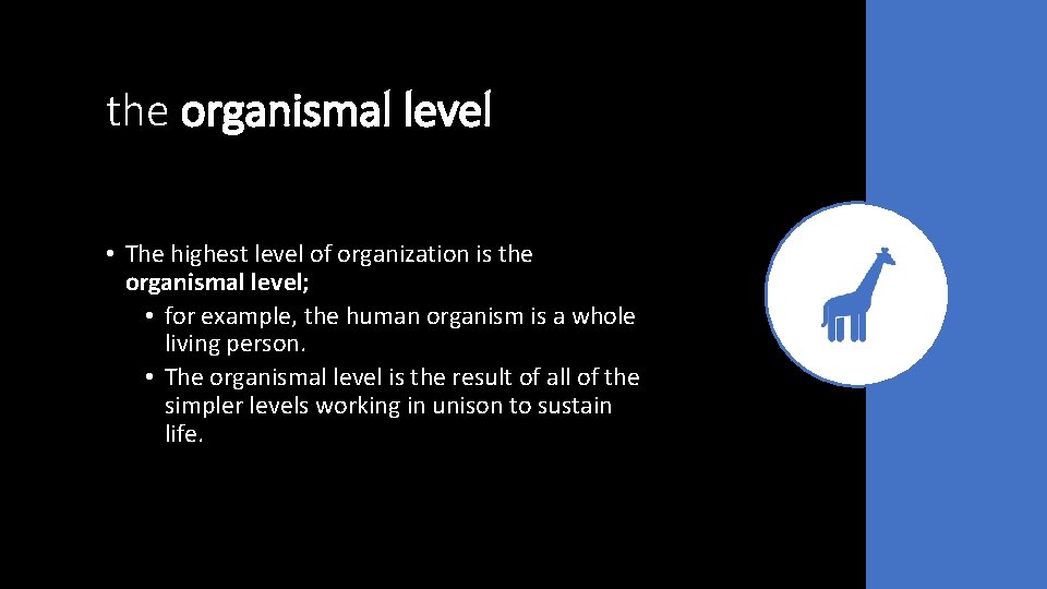 the organismal level • The highest level of organization is the organismal level; •