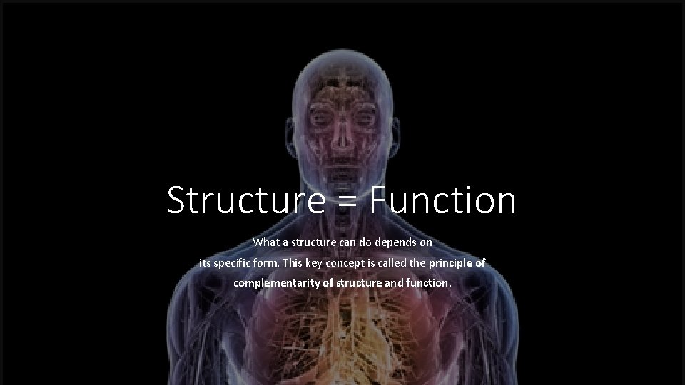 Structure = Function What a structure can do depends on its specific form. This