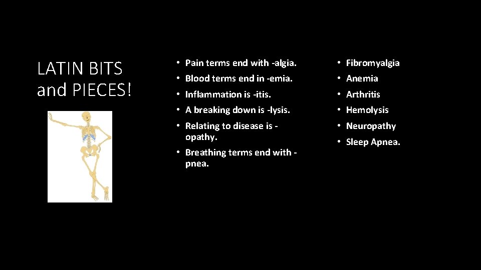 LATIN BITS and PIECES! • Pain terms end with -algia. • Fibromyalgia • Blood