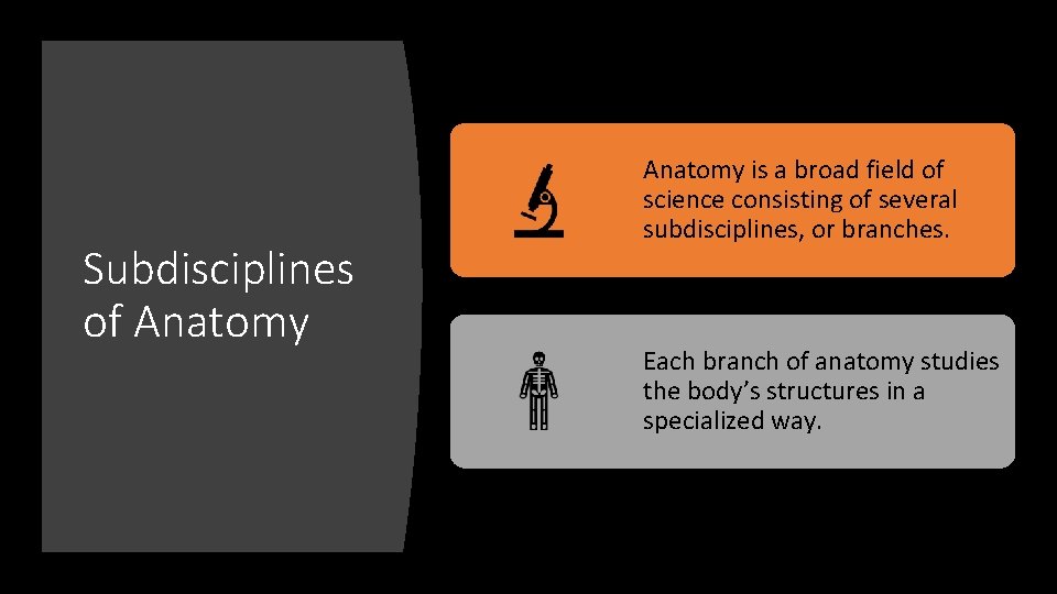 Subdisciplines of Anatomy is a broad field of science consisting of several subdisciplines, or