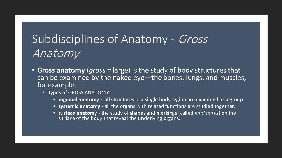 Subdisciplines of Anatomy - Gross Anatomy • Gross anatomy (gross = large) is the