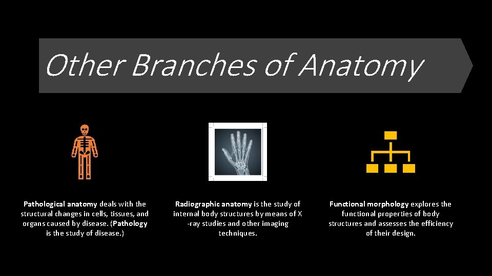 Other Branches of Anatomy Pathological anatomy deals with the structural changes in cells, tissues,
