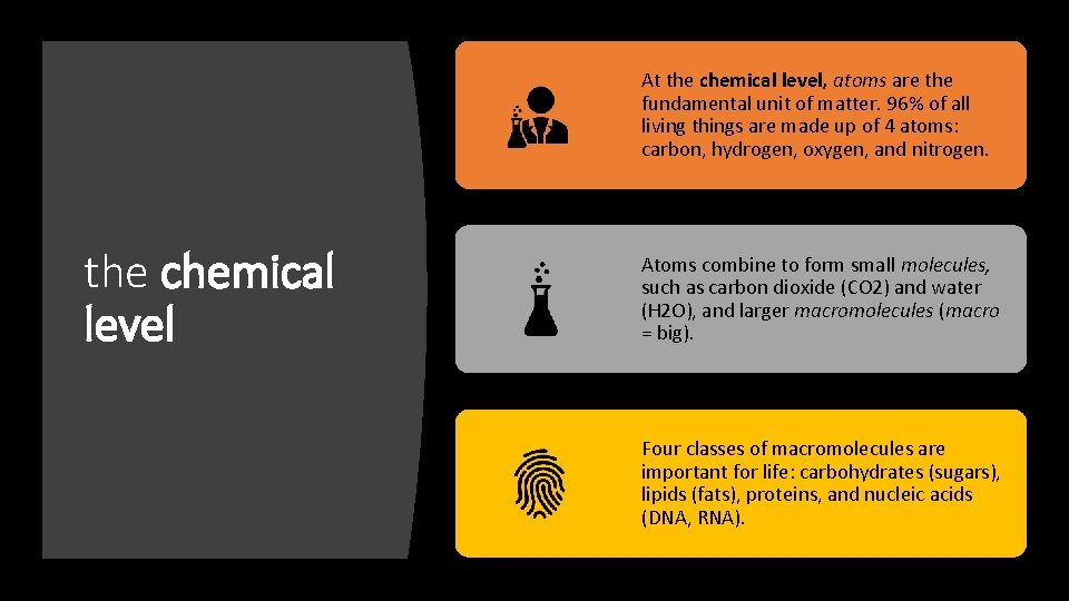 At the chemical level, atoms are the fundamental unit of matter. 96% of all