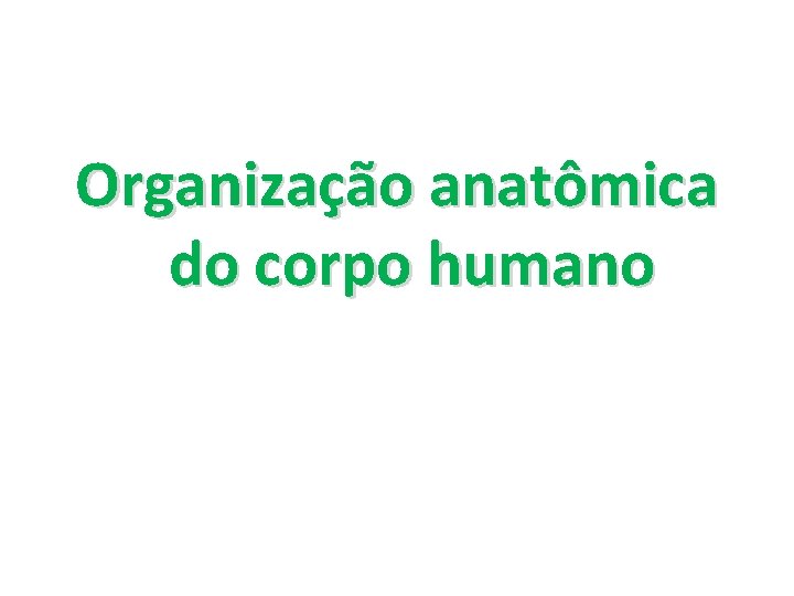 Organização anatômica do corpo humano 