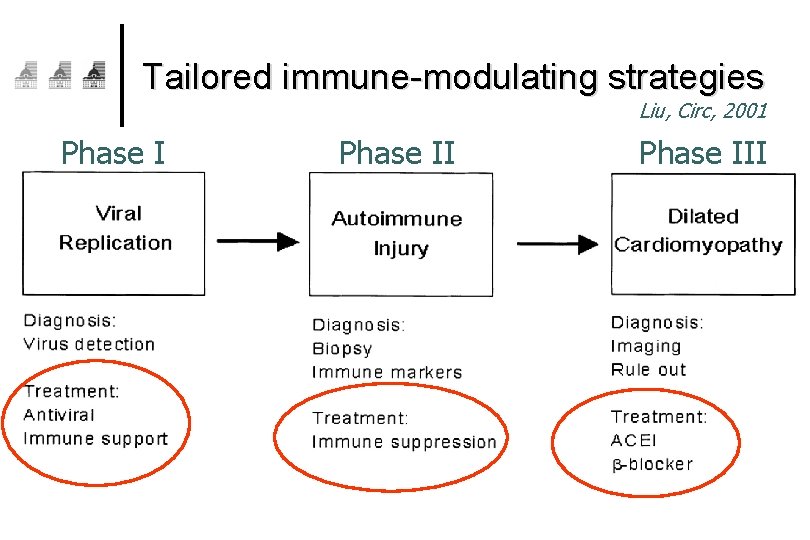 Tailored immune-modulating strategies Liu, Circ, 2001 Phase III 