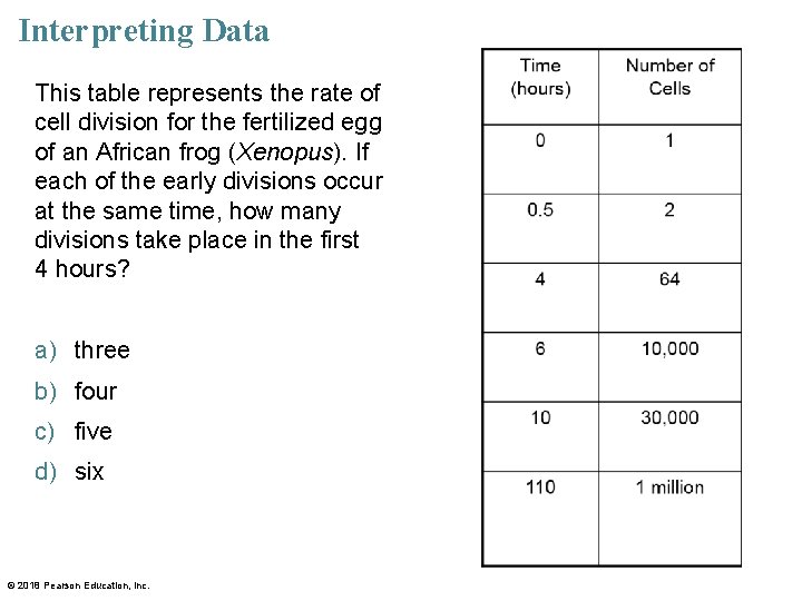 Interpreting Data This table represents the rate of cell division for the fertilized egg