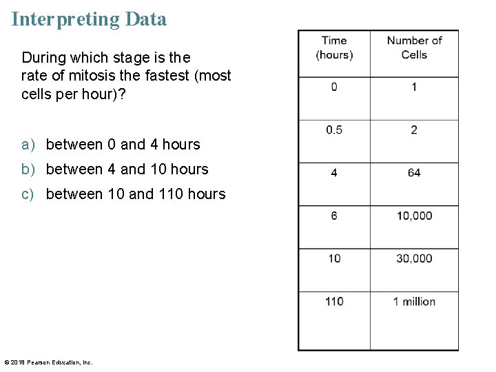 Interpreting Data During which stage is the rate of mitosis the fastest (most cells