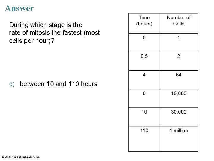 Answer During which stage is the rate of mitosis the fastest (most cells per