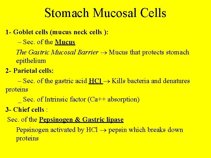 Stomach Mucosal Cells 1 - Goblet cells (mucus neck cells ): – Sec. of Stomach Mucosal Cells 1 - Goblet cells (mucus neck cells ): – Sec. of