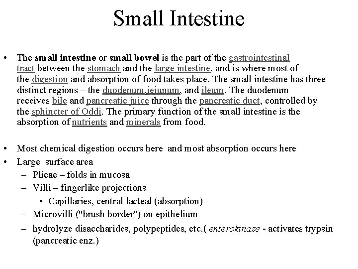 Small Intestine • The small intestine or small bowel is the part of the Small Intestine • The small intestine or small bowel is the part of the