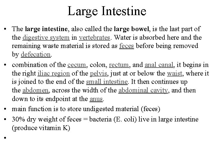 Large Intestine • The large intestine, also called the large bowel, is the last Large Intestine • The large intestine, also called the large bowel, is the last