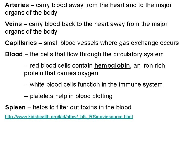 Arteries – carry blood away from the heart and to the major organs of