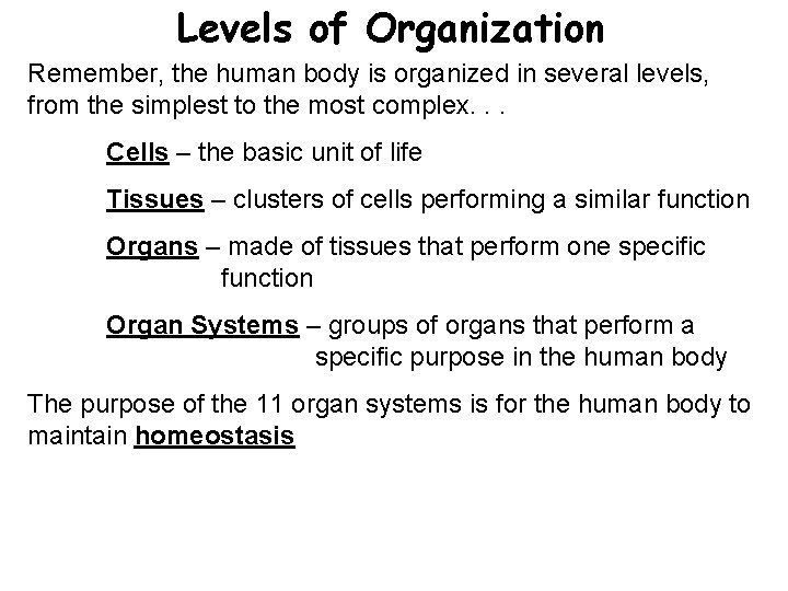 Levels of Organization Remember, the human body is organized in several levels, from the