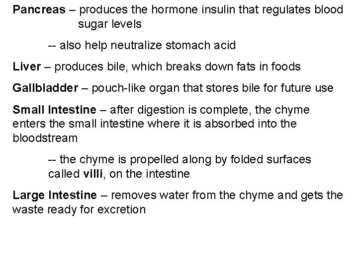 Pancreas – produces the hormone insulin that regulates blood sugar levels -- also help