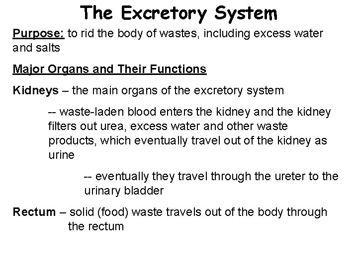 The Excretory System Purpose: to rid the body of wastes, including excess water and